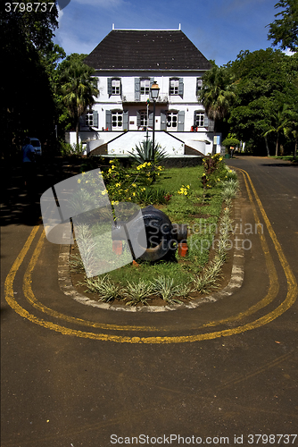 Image of zanzibar mahebourg naval museum flower   