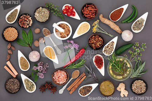 Image of Herb and Spice Abstract  
