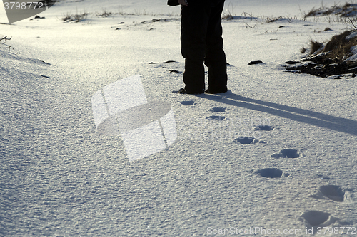 Image of Footsteps in the snow