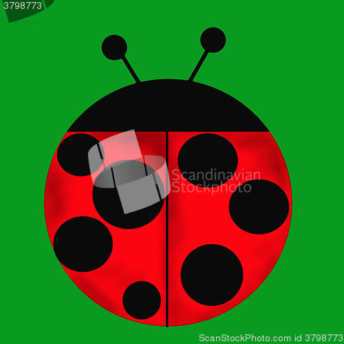 Image of ladybug on the green
