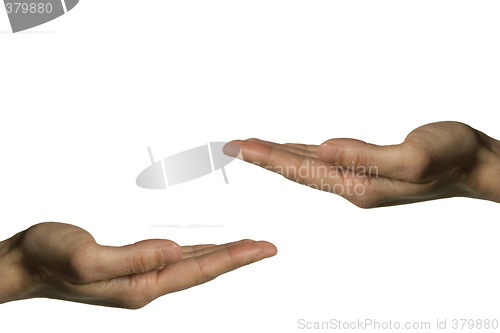 Image of Two hands (left hand)