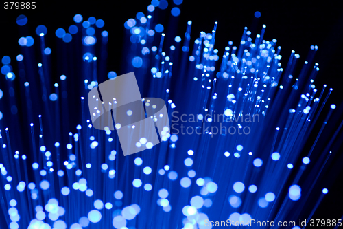 Image of fiber optics close-up