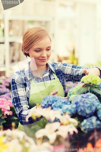 Image of happy woman taking care of flowers in greenhouse