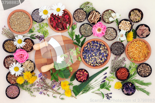 Image of Natural Flower and Herb Medicine