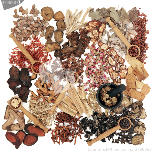 Image of Traditional Chinese Herbal Medicine