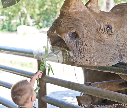 Image of baby in the Zoo