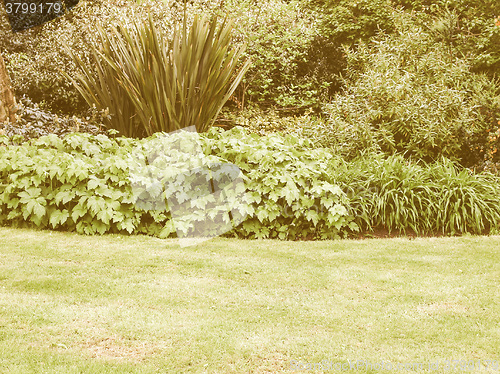 Image of Retro looking Greenery background