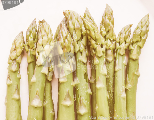 Image of Retro looking Asparagus vegetable