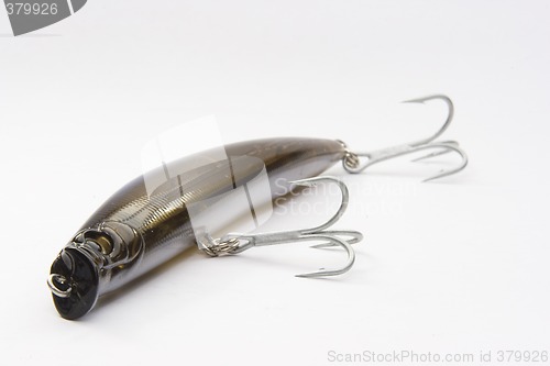 Image of lure