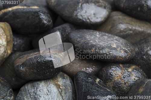 Image of Dark and wet stones for background