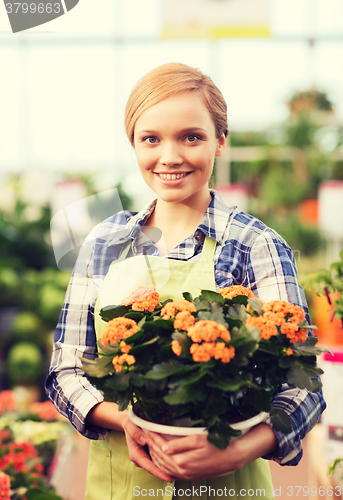 Image of happy woman holding flowers in greenhouse