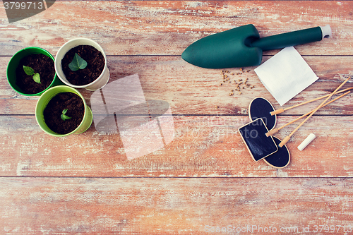 Image of close up of seedlings, trowel and nameplates