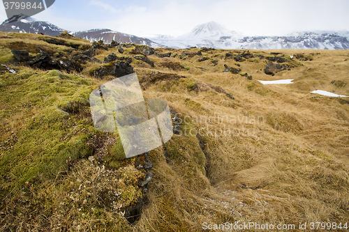 Image of Basalt stones at the cave near Vik, Iceland