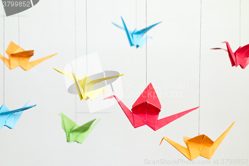 Image of  colorful origami birds