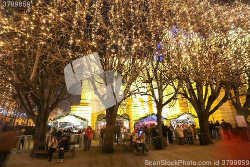 Image of Art Pavilion with illuminated trees