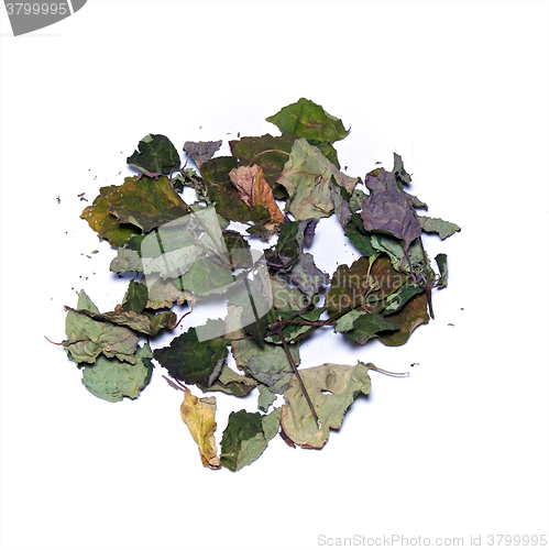 Image of colorful dried patchouly leaves