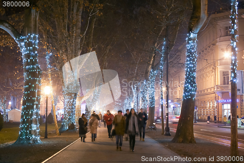Image of Illuminated tree alley on Zrinjevac