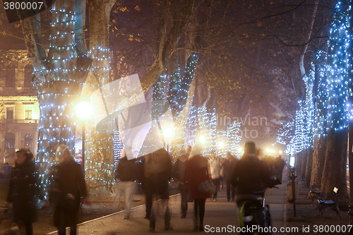 Image of Decorated plane tree alley on Zrinjevac