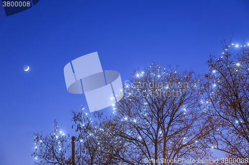 Image of Illuminated treetop at Advent time