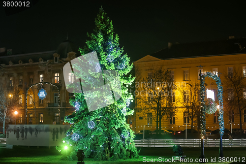 Image of Christmas tree in Zagreb