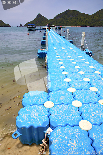 Image of plastic pier  coastline of a  green lagoon wild angle