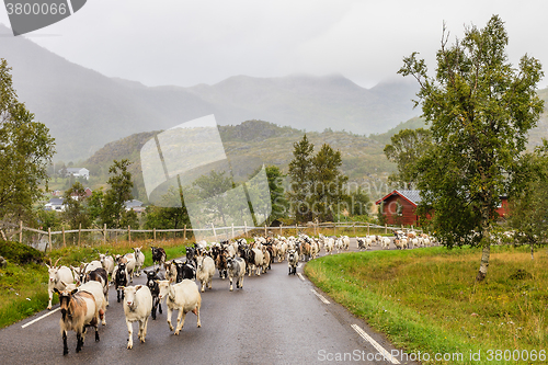 Image of the walk back home