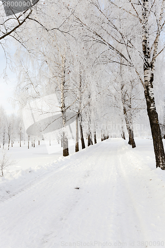 Image of the winter road  