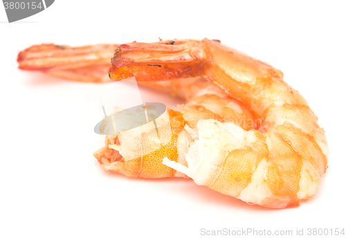 Image of grilled shrimps on white