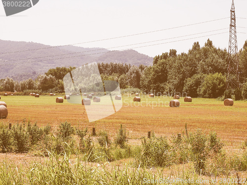 Image of Retro looking Hay bale