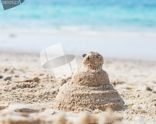 Image of sandy man at the beach