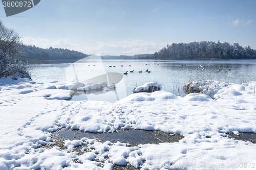 Image of Osterseen witner scenery