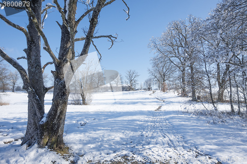 Image of Osterseen witner scenery