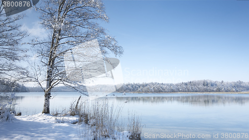Image of Osterseen witner scenery