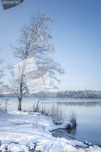 Image of Osterseen witner scenery