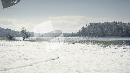 Image of Osterseen witner scenery