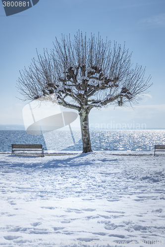 Image of winter scenery at Tutzing Bavaria