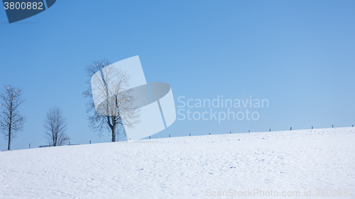 Image of winter scenery background