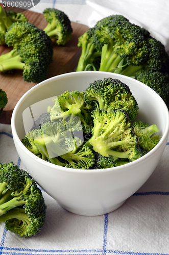 Image of Bunch of fresh green broccoli