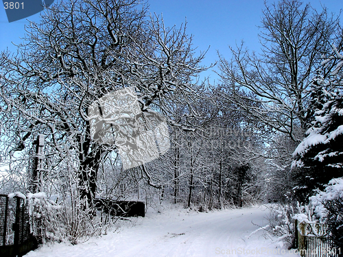 Image of winterroad