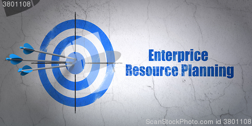 Image of Business concept: target and Enterprice Resource Planning on wall background
