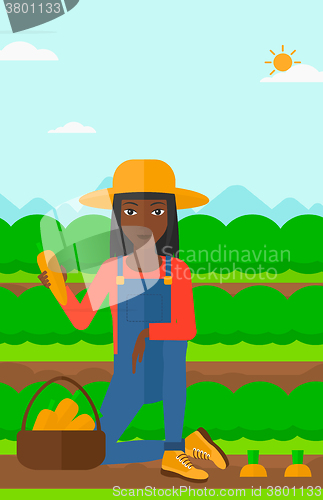 Image of Farmer collecting carrots.