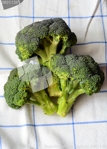 Image of Bunch of fresh green broccoli