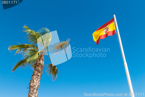 Image of Spanish flag and palm tree in the blue sky
