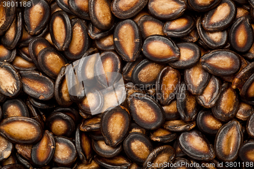 Image of Black melon seeds