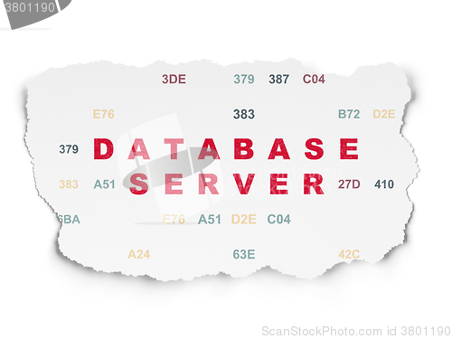 Image of Software concept: Database Server on Torn Paper background