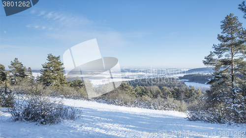 Image of winter scenery Büchelberg Münklingen