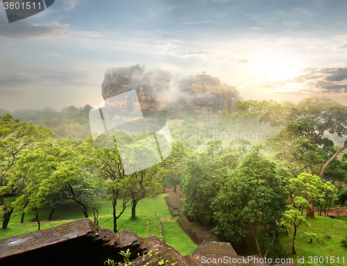 Image of Garden near Sigiriya