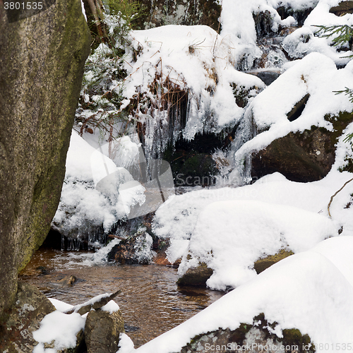 Image of Winter