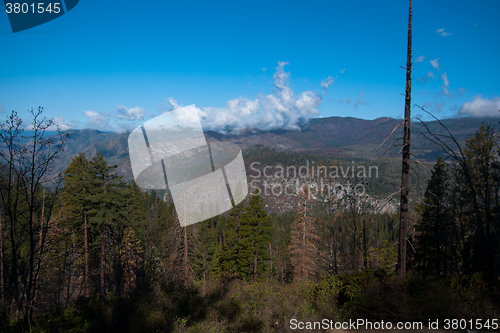 Image of Yosemite Valley View