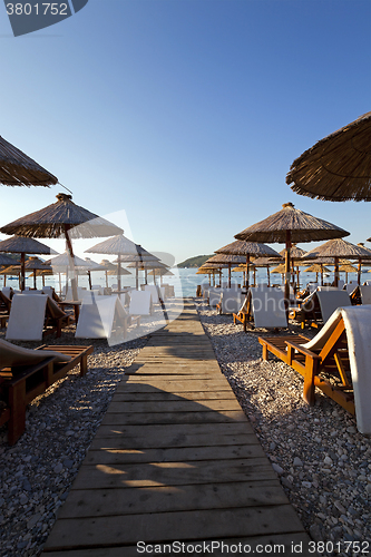 Image of umbrellas on a beach 